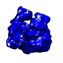 Animated Ribosome Mode 1